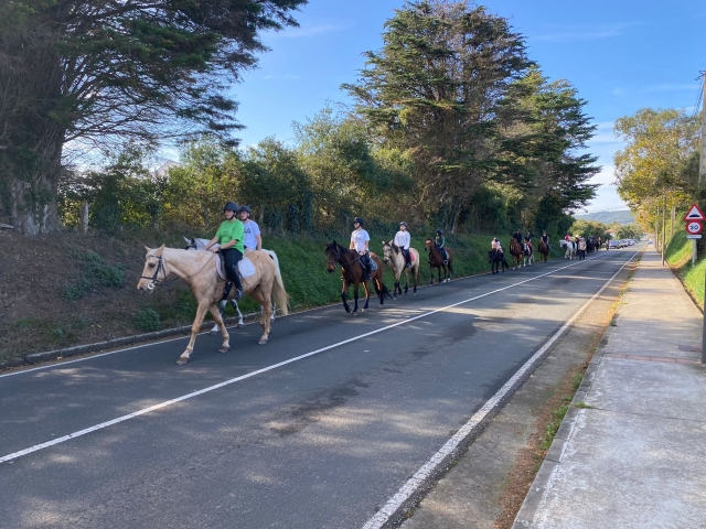 Paseo a caballo en grupo por el monle