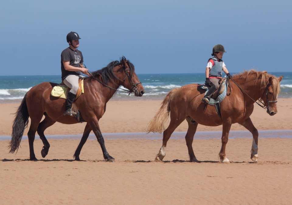 Cabalgamarra por Cantabria
