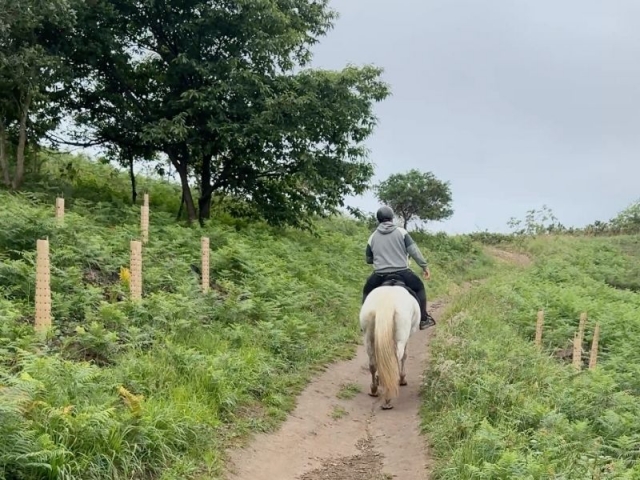 Subida a La Picota a caballo Subida a La Picota a caballo
