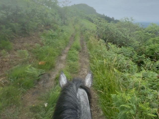 Cabalgamarra por Cantabria Cabalgamarra por Cantabria