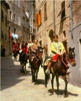  Pbaños a caballo por el campo 