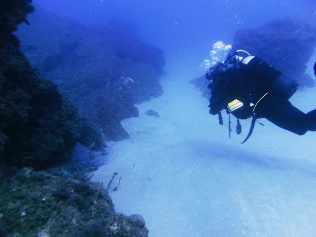  visitando Tropea
