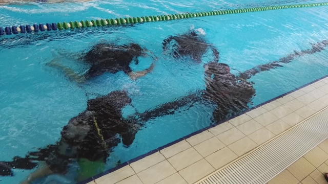  preparación en la alberca 