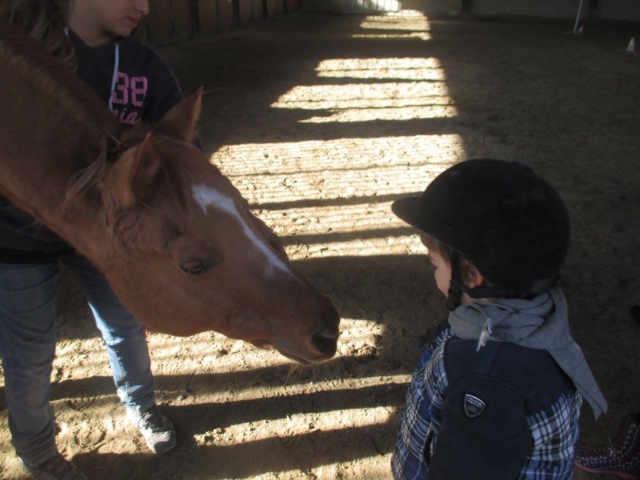  los niños y el caballo 