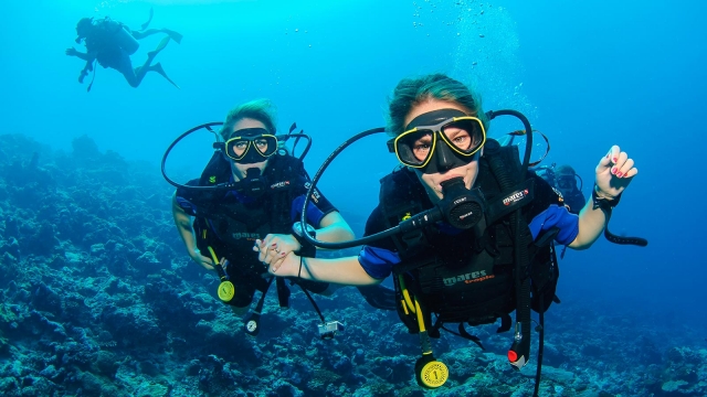 Proteus Diving