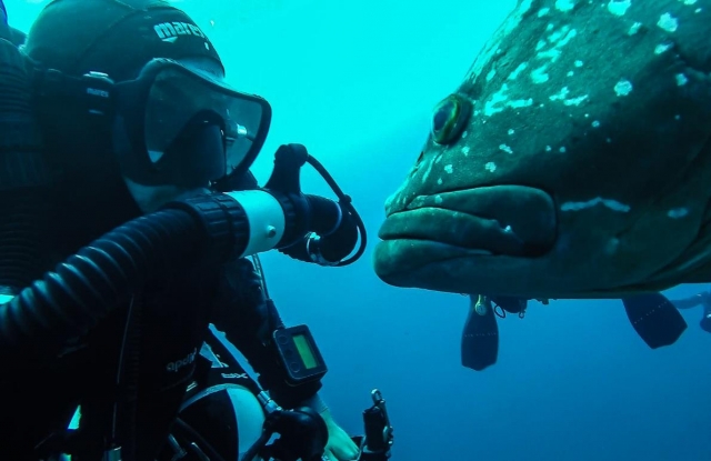 contactos submarinos 