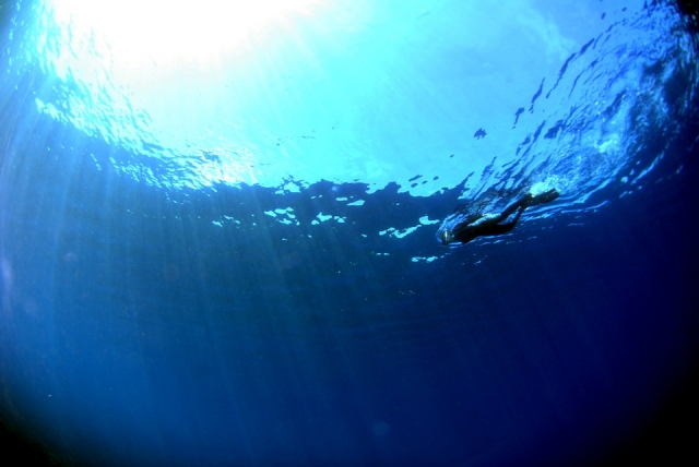  Inmersos en el azul 