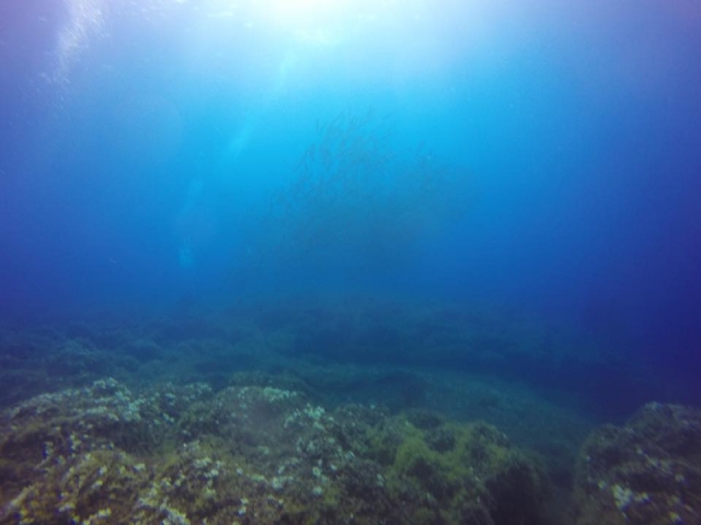  el fondo marino de Marettimo 