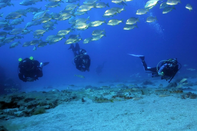  descubriendo el azul profundo 