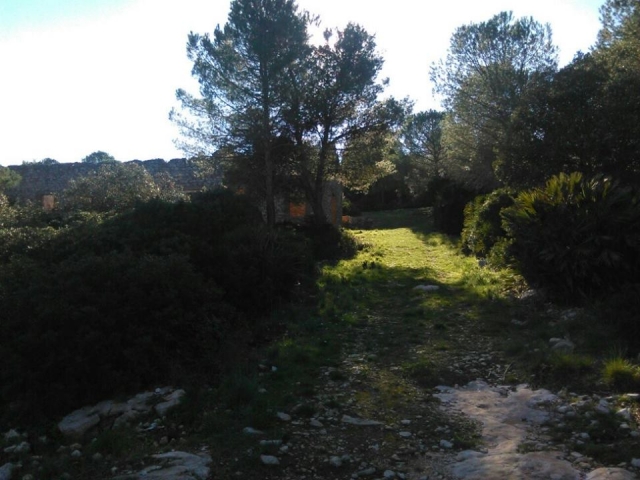  los senderos de trekking 