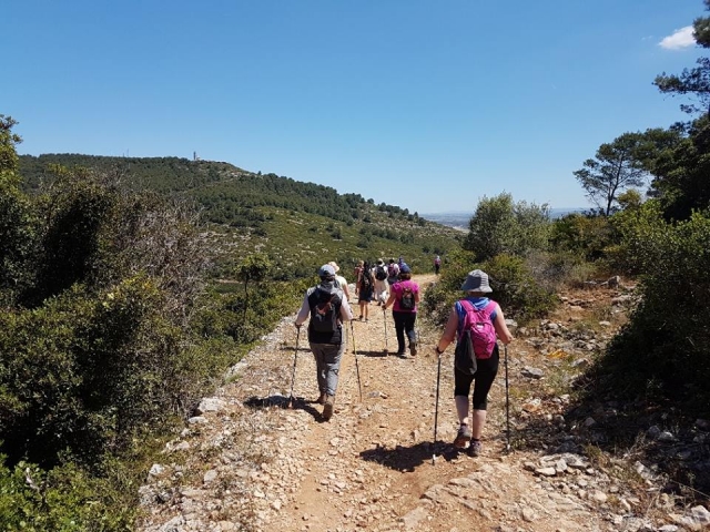  trekking