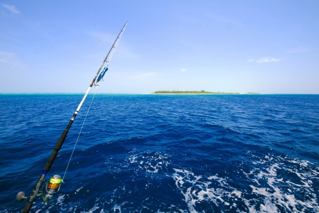 pesca en mar abierto 