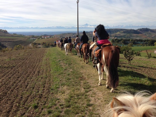  Un paseo por las Langhe 