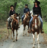  Trekking de los santuarios 