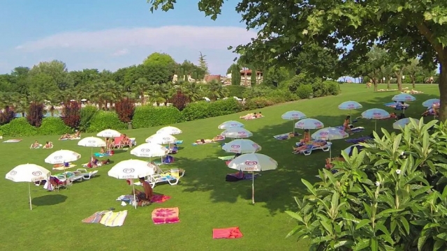  El verdor del parque 
