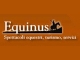 Equinus