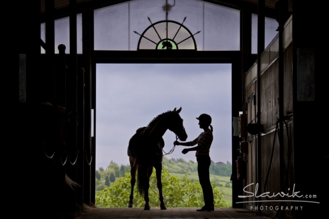  Pasión y amor por los caballos 