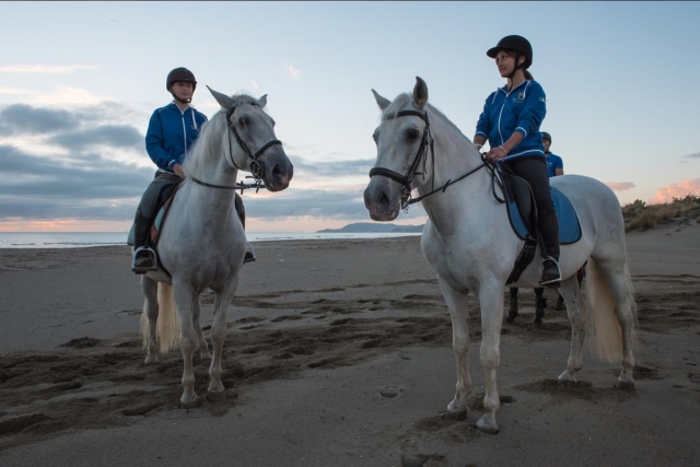  a caballo a la orilla del mar 