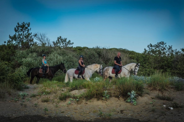  a caballo en grupo 