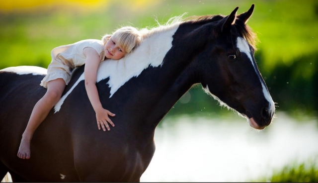  niños y caballos 