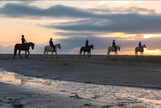  excursión al atardecer 