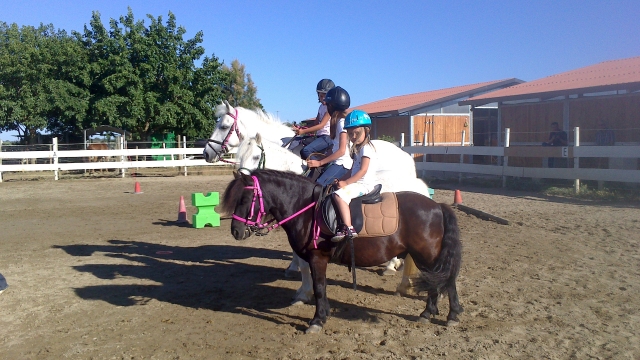  pbaños a caballo para todos 