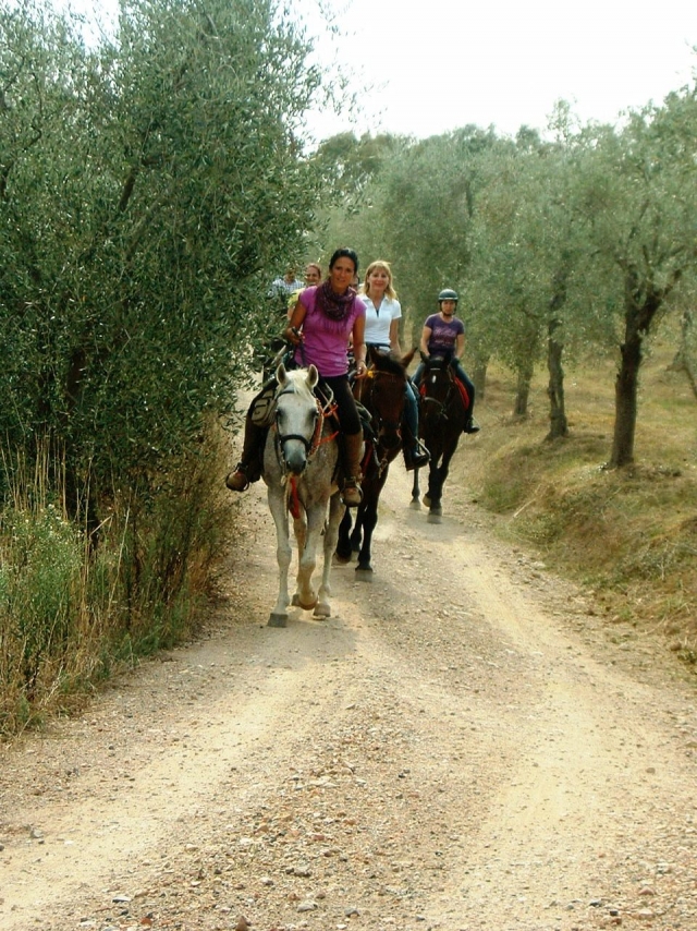  paseo.. 