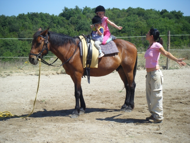  actividades divertidas 