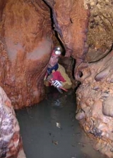 Pozzo Carillo y su resurgimiento 