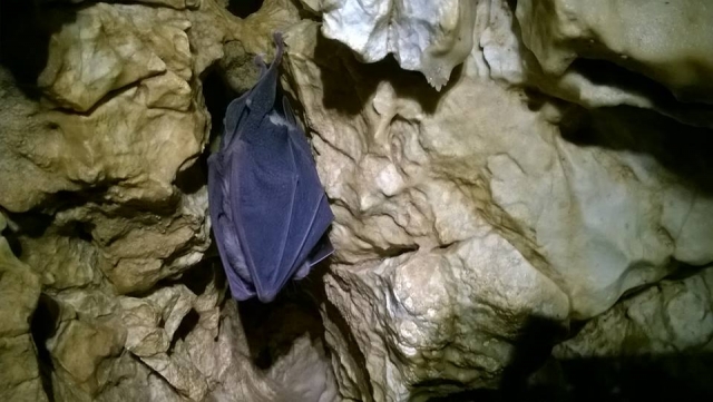 amigos en las cueva 