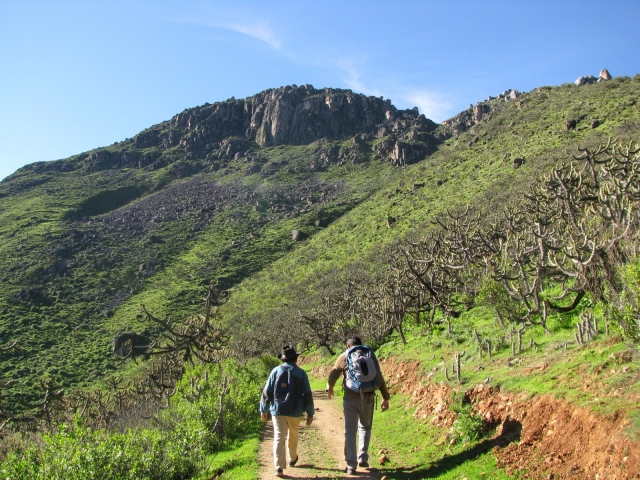  caminos únicos