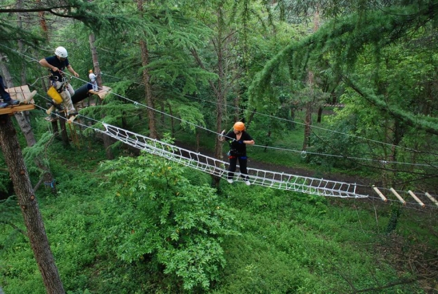  Puentes colgantes entre los árboles 