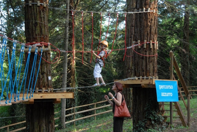  Diversión para todos 