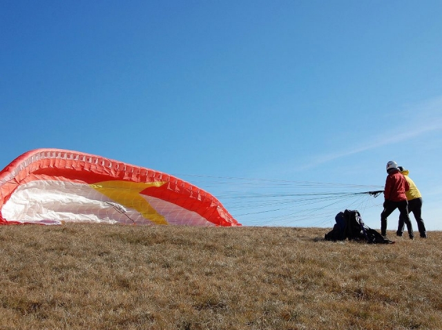  Parapenle 