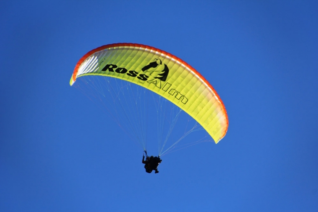  volando con nosotros 