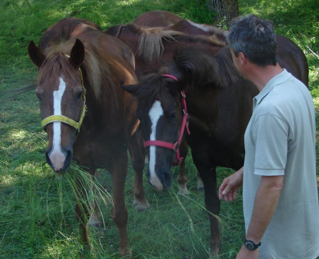  nuestros caballos 