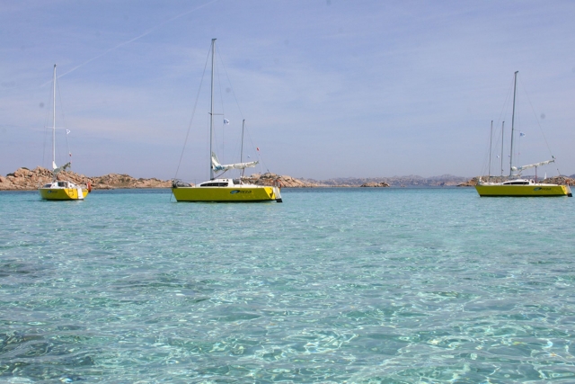  en nuestras aguas cristalinas 