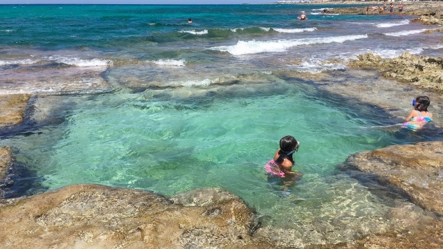  experimentando emociones únicas 