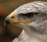 Excursión todoterreno 