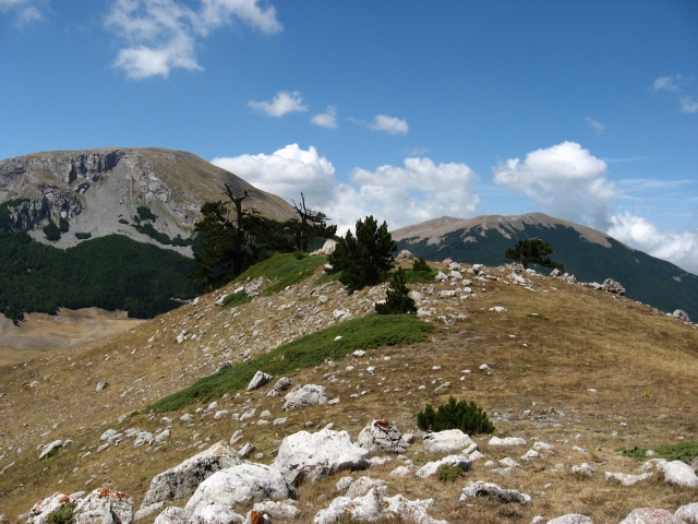  En el Monle Pollino 