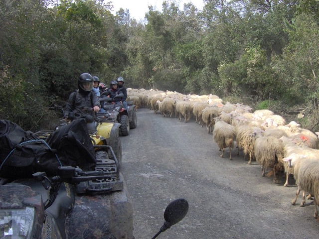  Un encuentro divertido 