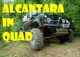 Alcantara in Quad