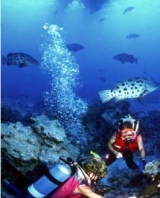  Explora los mejores fondos marinos de Italia 