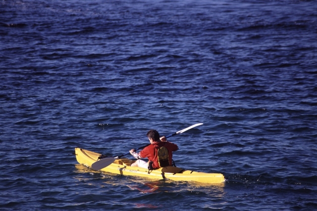  kayak 