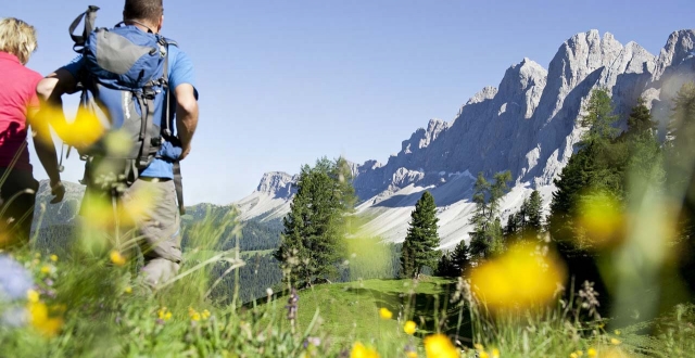  venga y vive una experiencia única con nosotros 