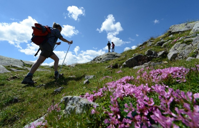  trekking 