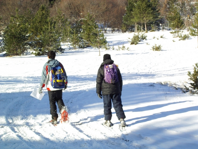  Orientación en la nieve 