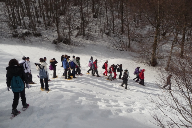 Un bonito paseo con raquetas de nieve 
