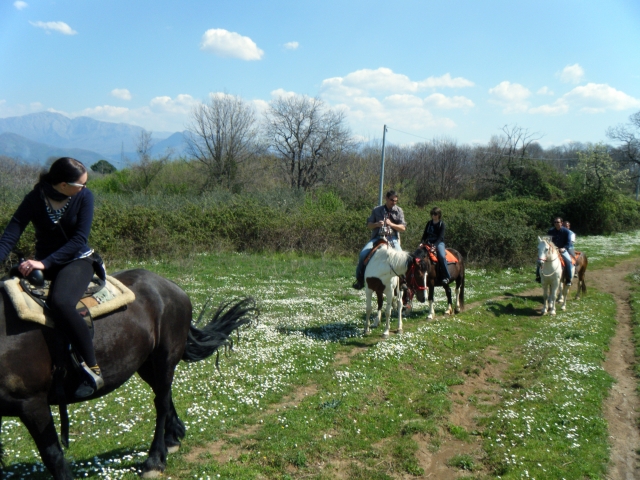  Pbaños a caballo en Salerno 