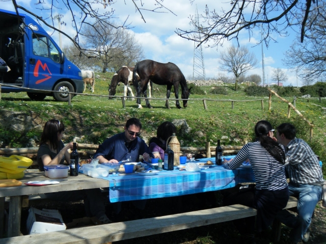  Un día en el campo 